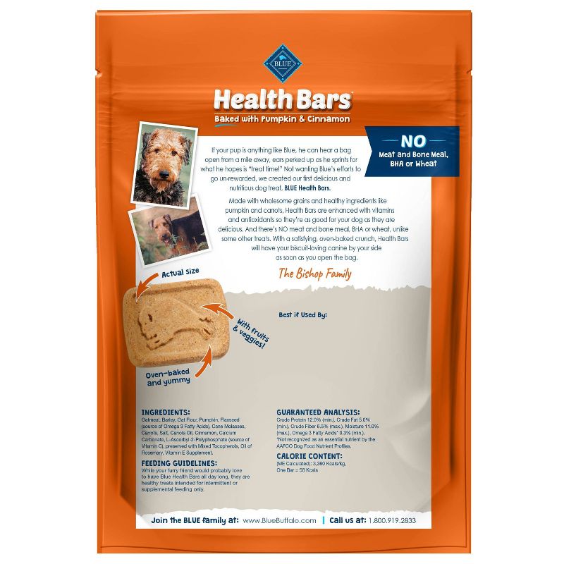 Blue Buffalo Pumpkin & Cinnamon Health Bar Dog Treats - 16oz