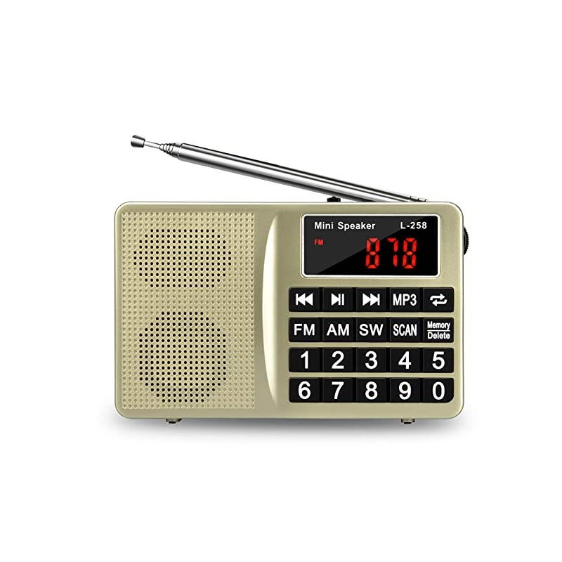 AM SW AllBand Receiver with Best ReceptionPortable Radio with Headset OutputAUX InputMP3External SpeakerTF CardStores Stations Automatically and Powered by Lithium Battery