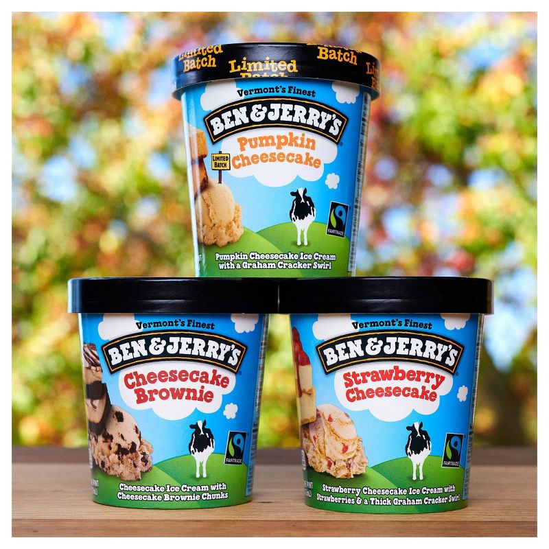 Ben & Jerry's Strawberry Cheesecake Ice Cream - 16oz