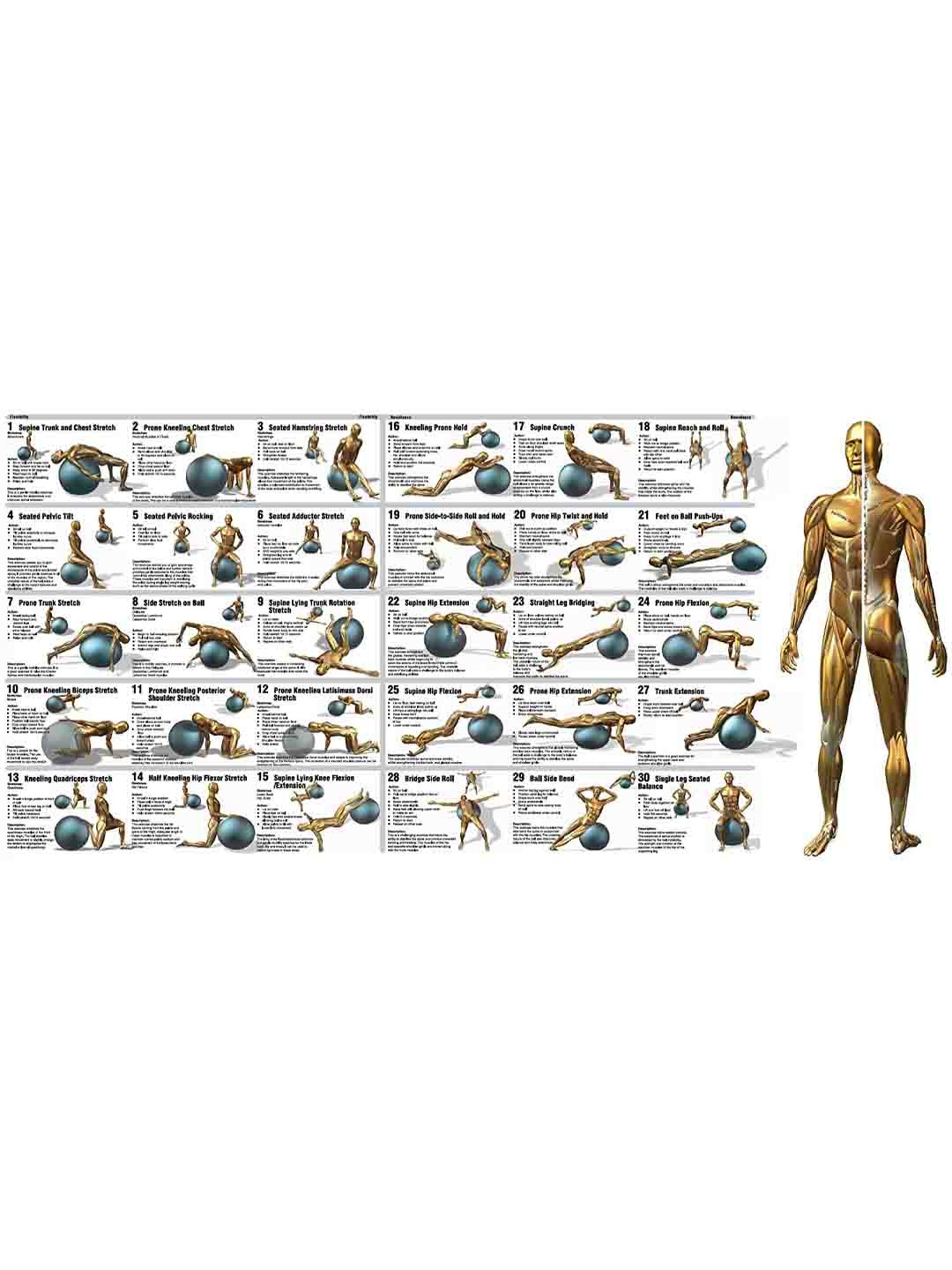 B Fit ANTI Burst Gym Ball Siz 65 cm (Silver)