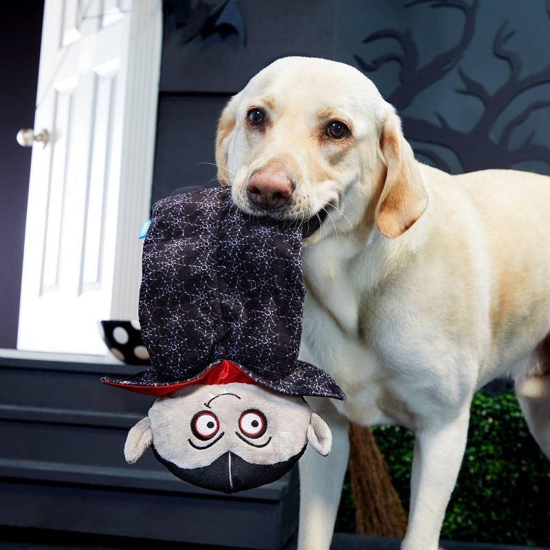 Bark Sugar Deady Dog Toy - Black