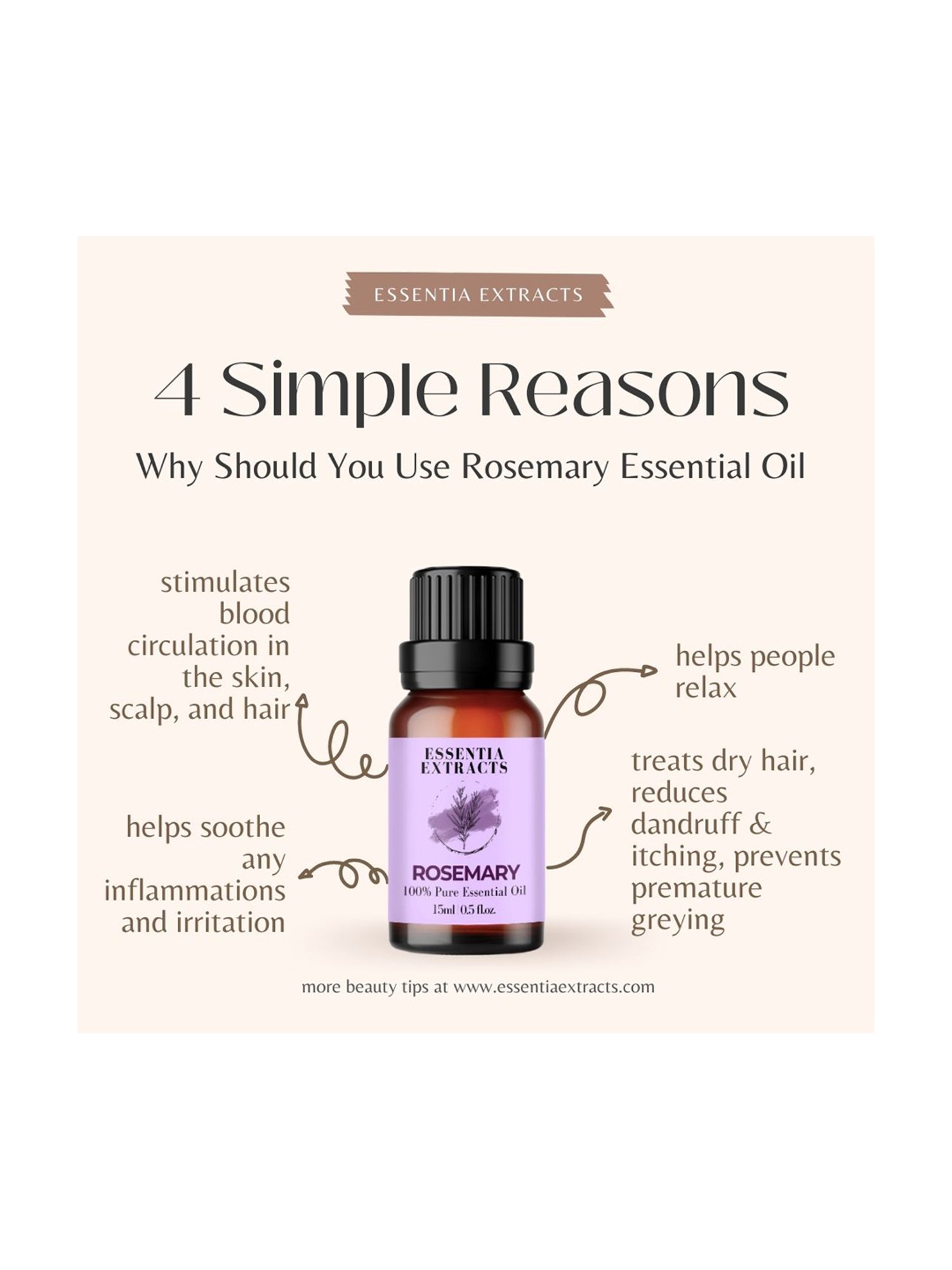Essentia Extracts Rosemary Essential Oil - 15 ml