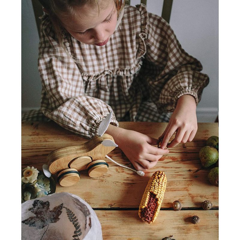 Kinderfeets Kids Rolling Bamboo Push and Pull Animal Toy for Toddlers and Children with Pull String, Rabbit