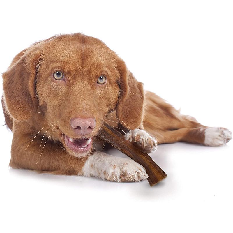 Cadet 6.5 Inch Rawhide Strips (20 x 50 Pack)