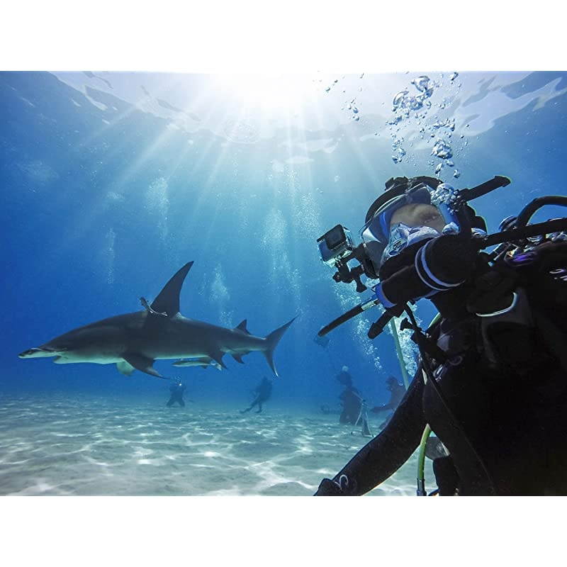 Protective Housing HERO8 Black Official  Accessory