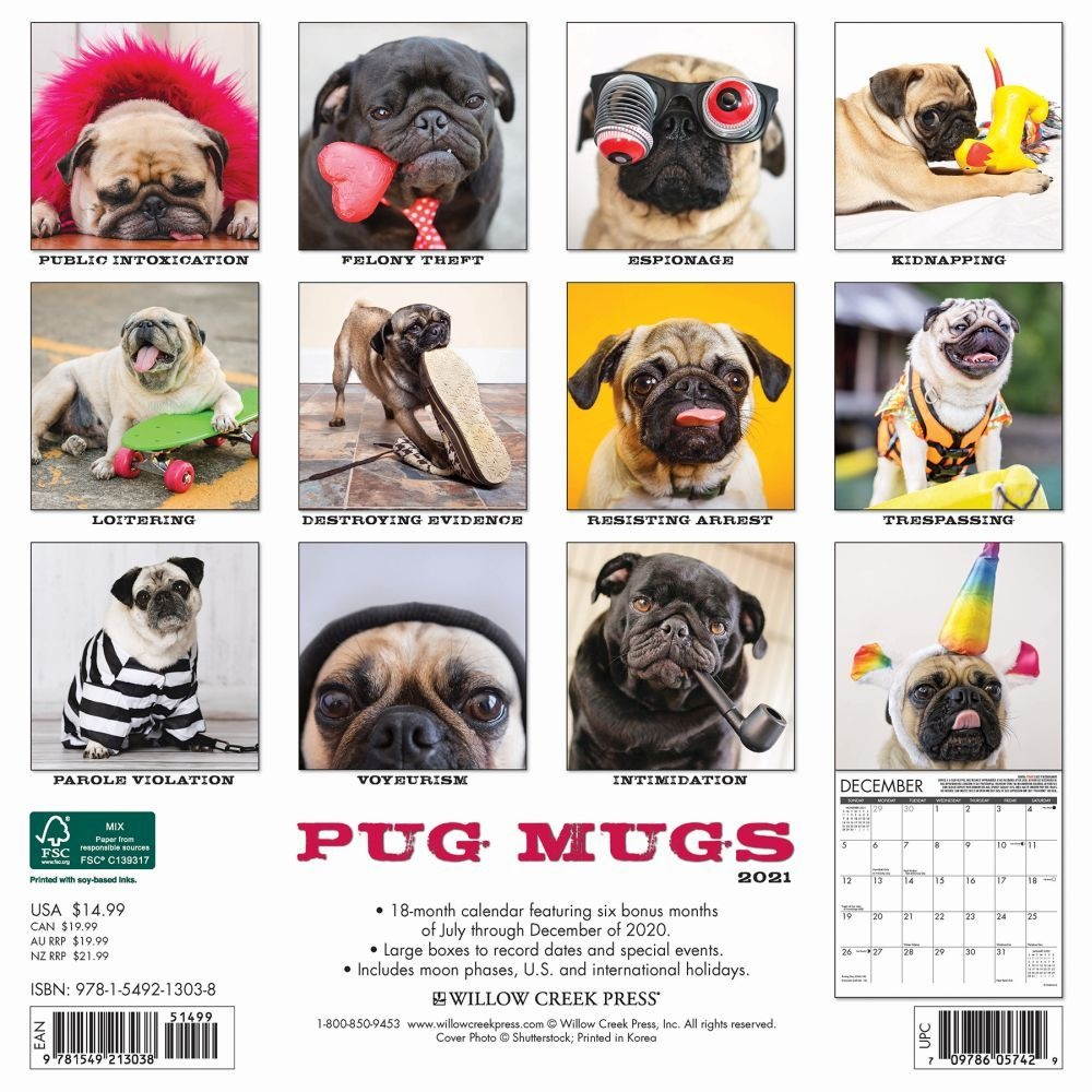 Willow Creek Press,  Pug Mugs 2021 Wall Calendar 2021