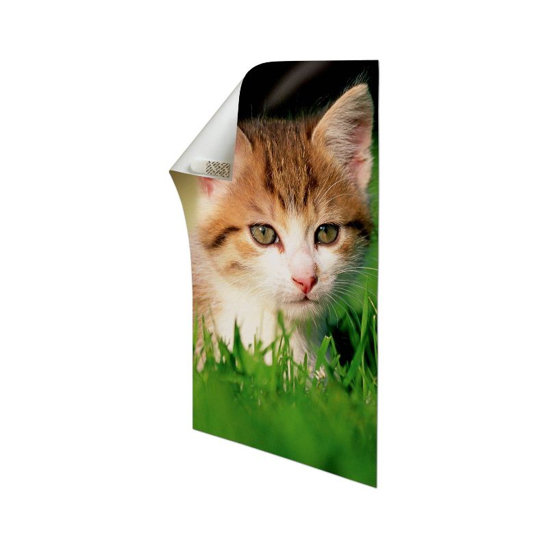 Command Poster 136 Strips Strips Mega Pack White