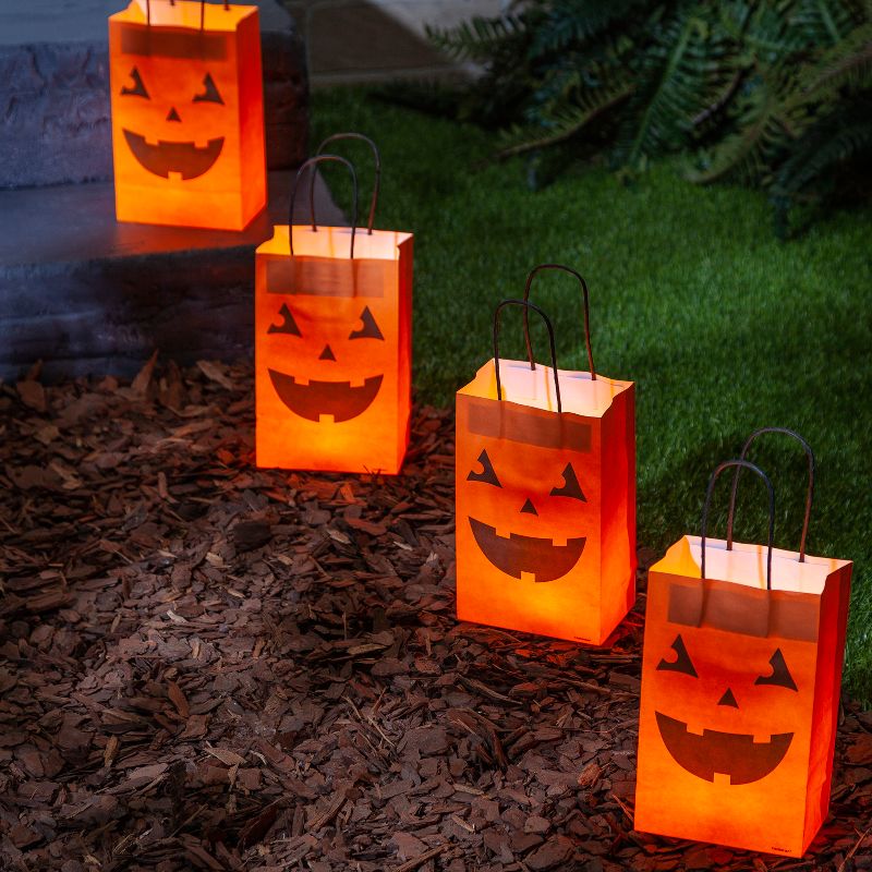 Everlasting Glow Set of 2 USB Rechargeable Fireglow(R) Lantern Inserts