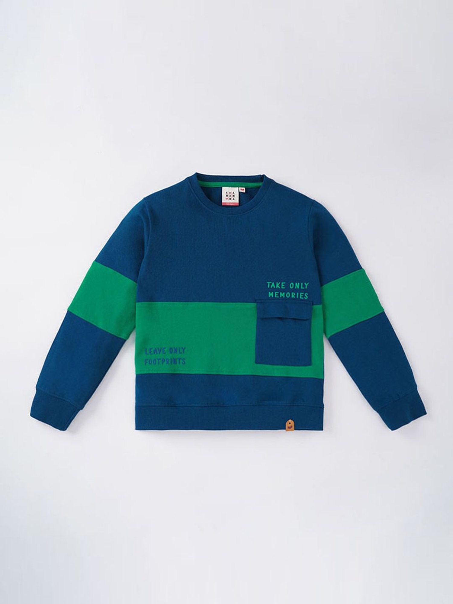 Ed-a-Mamma Kids Blue & Green Cotton Printed Full Sleeves Sweatshirt