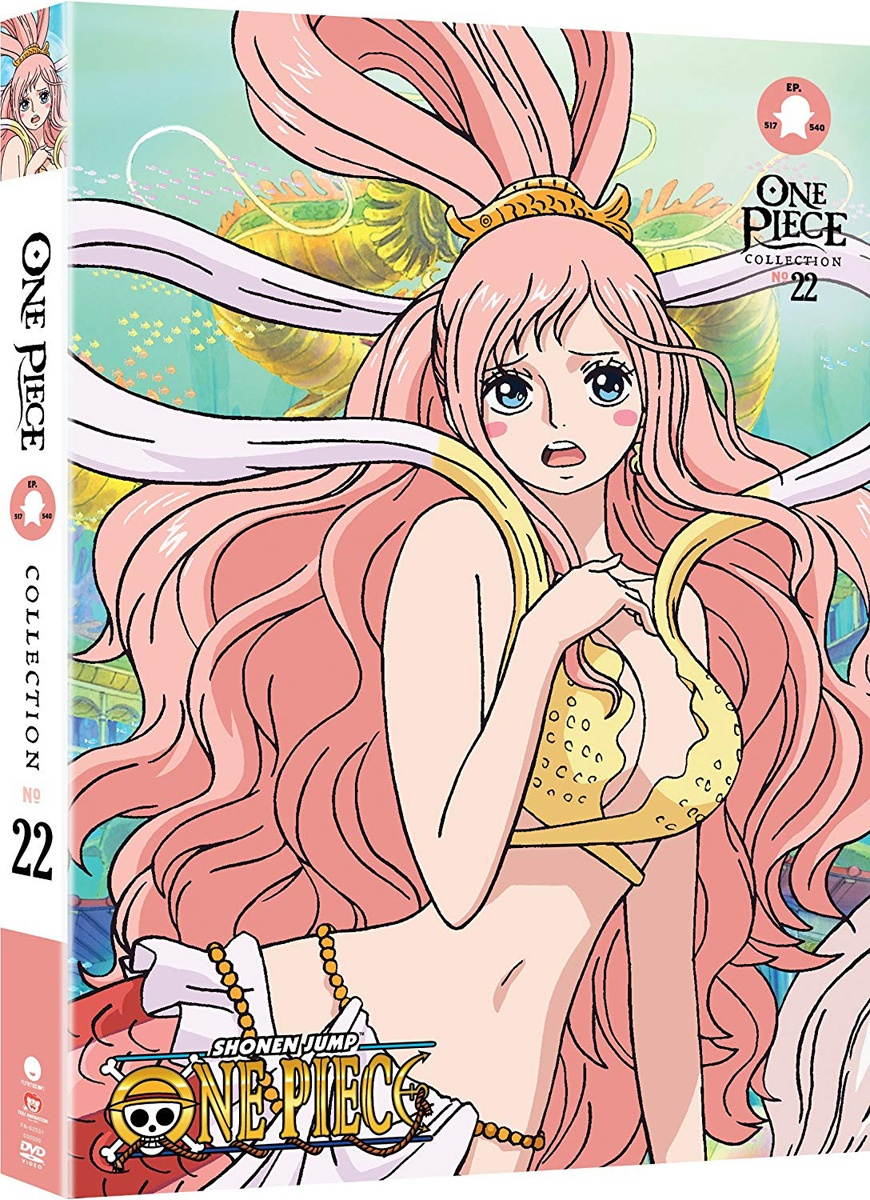 one piece: collection 22