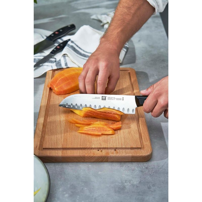 ZWILLING TWIN Master 2.5-inch Bird's Beak Pealer Knife