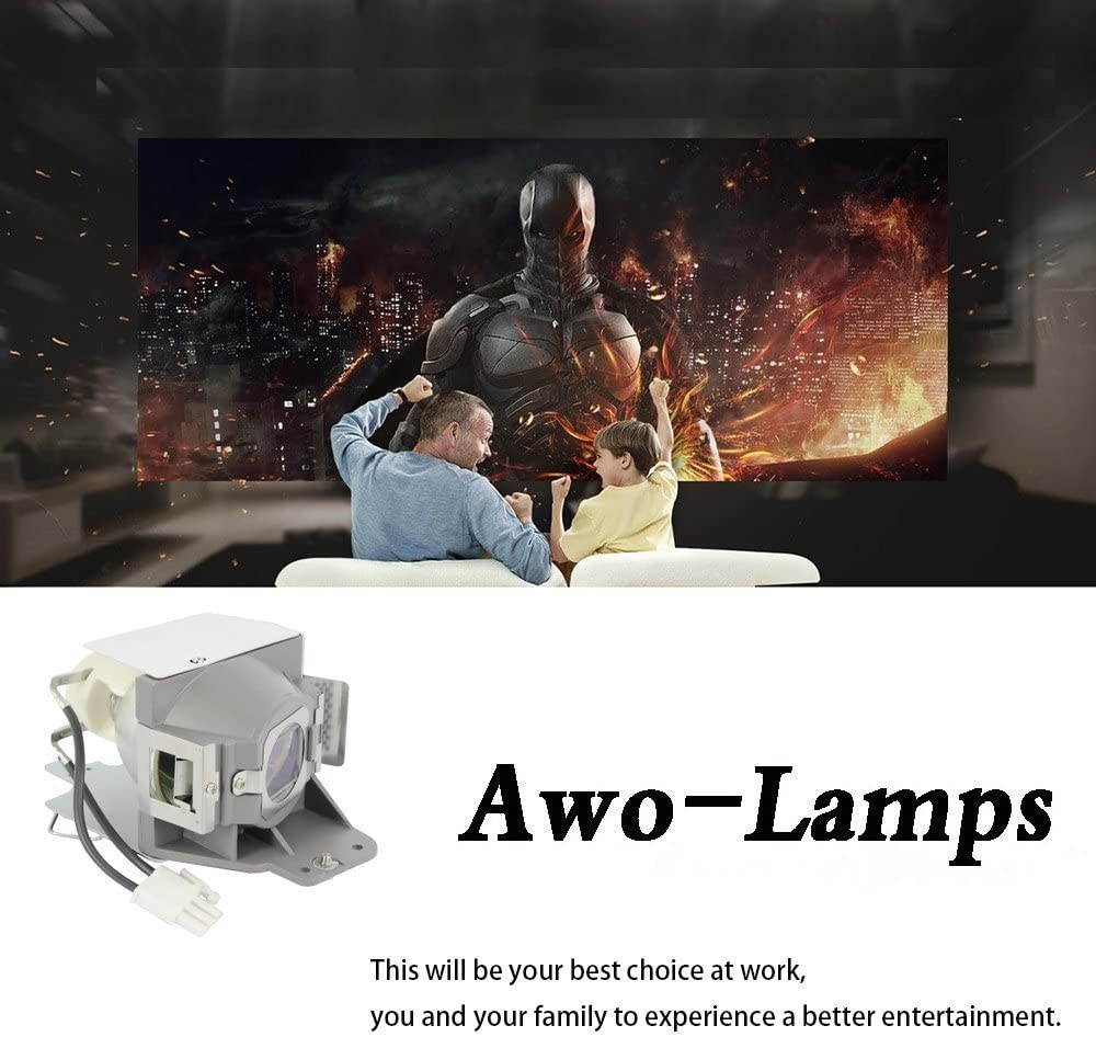 AWO Original Projector Lamp Bulb RLC-079 / MC.JFZ11.001 with Housing for VIEWSONIC PJD7820HD,PJD7822HDL for ACER H6510BD,P1500