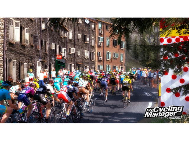 Pro Cycling Manager 2015 [Online Game Code]