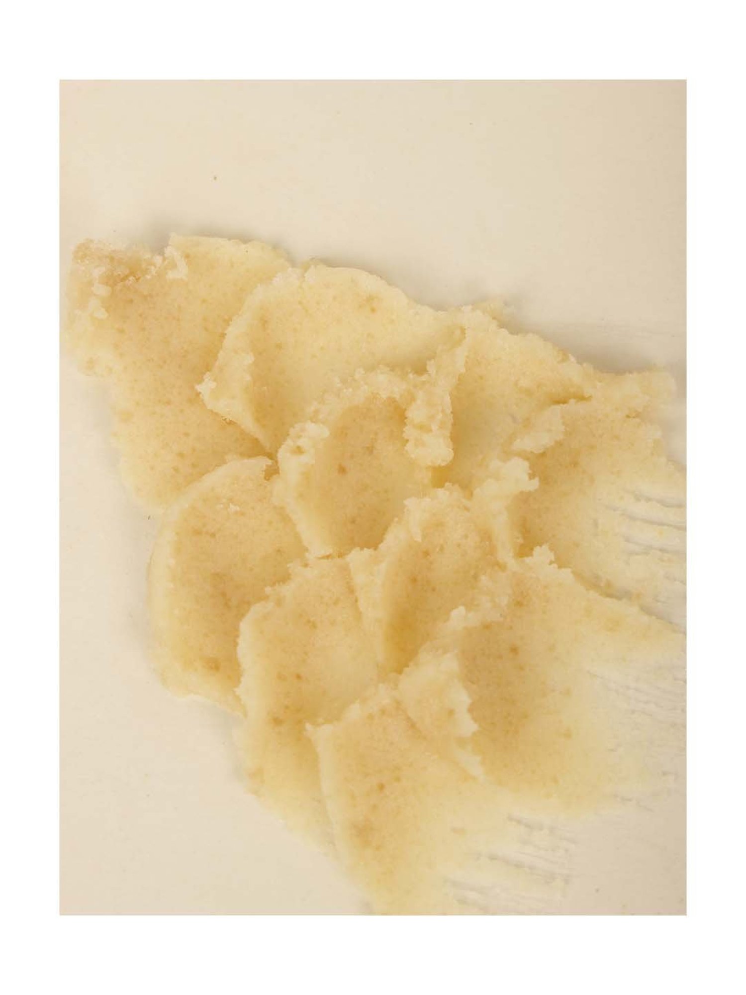 ENN The Ghee Spot Clarified Butter Lip Polish Scrub - 15 gm