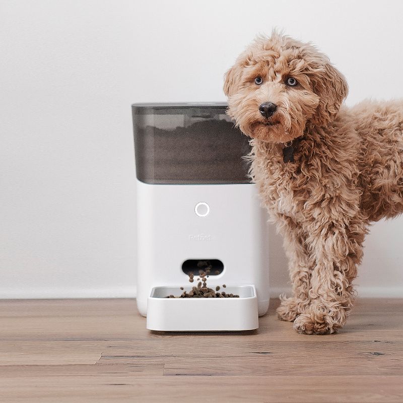 Petnet - Automated Pet Feeder