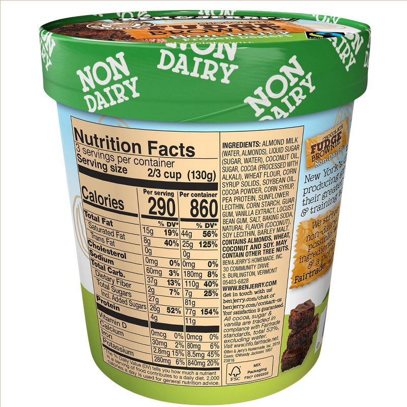 Ben & Jerry's Chocolate Fudge Brownie Non-Dairy Ice Cream Frozen Dessert - 16oz