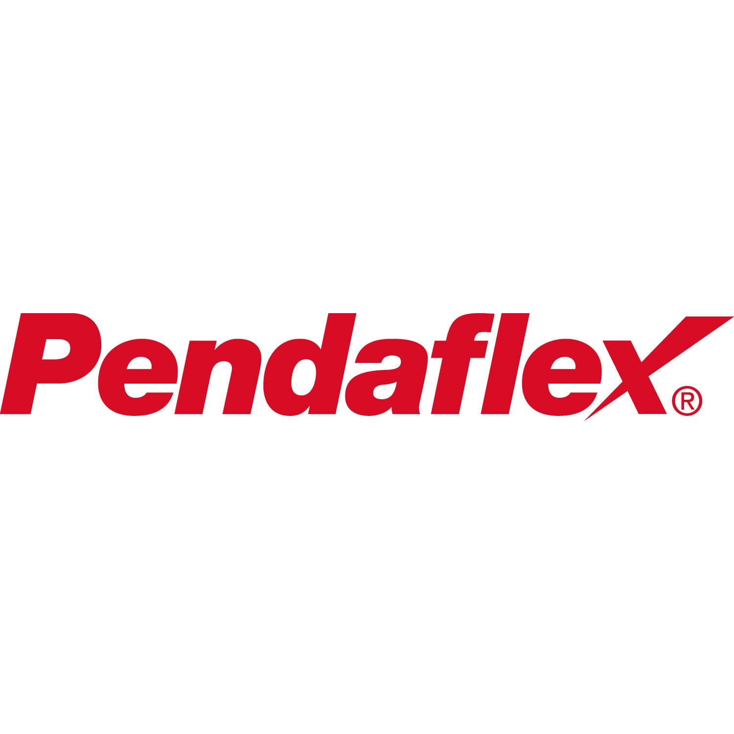 Pendaflex ReadyTab Color Hanging Folders