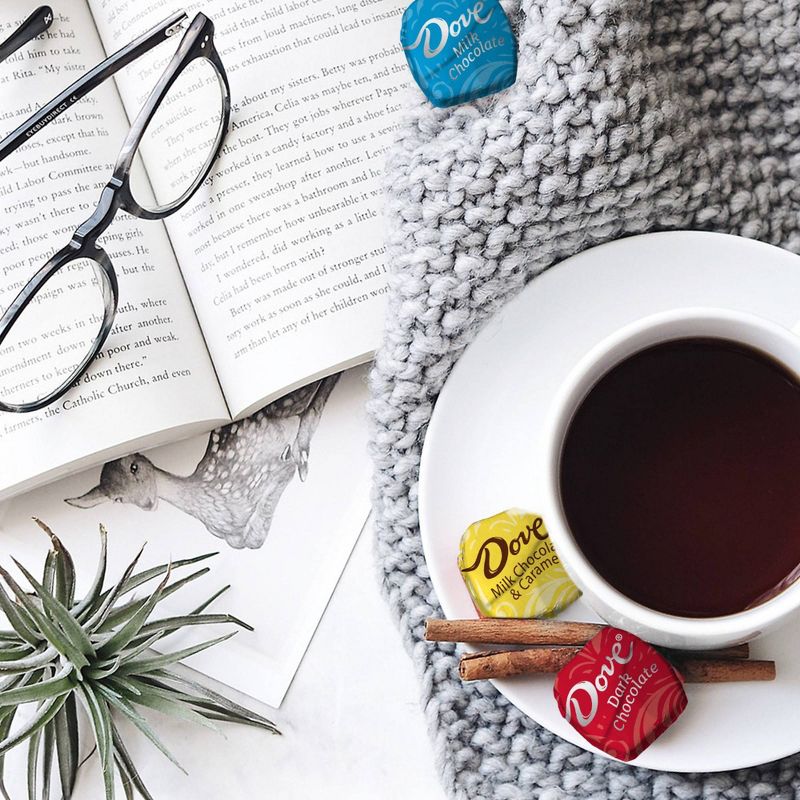 Dove Promises Variety Pack Chocolate Candies - 15.8oz