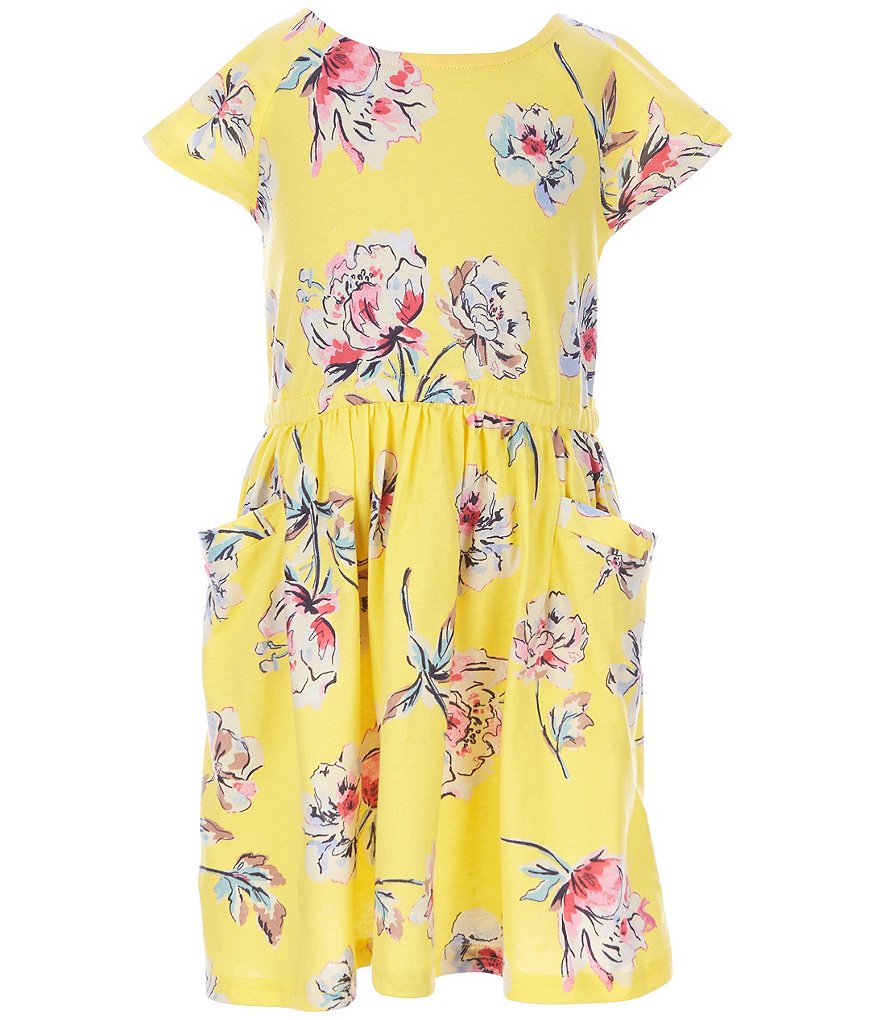 Peek Little/Big Girls 2T-12 Embroidered Chambray A-Line Dress