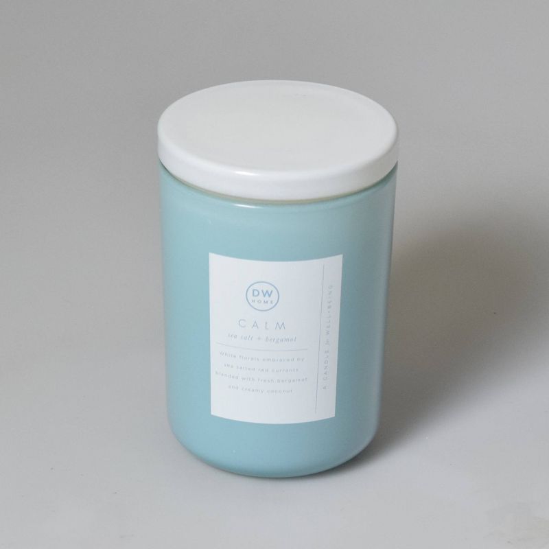 8oz Wellness Spa/Calm Sea Salt and Bergamot Candle - DW Home