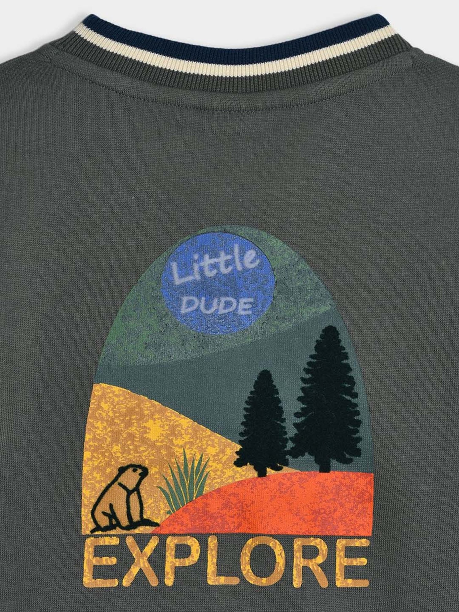 MiArcus Boys Green Printed Full Sleeves Sweatshirts & Hoodies