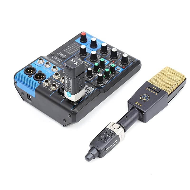 U3C Condenser Microphone Wireless System with 2.4GHz XLR Transmitter and Receiver for Microphone, Audio Mixer, PA System