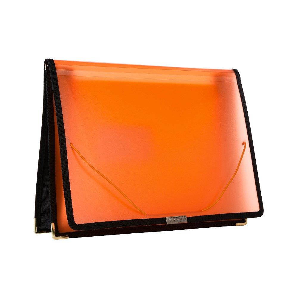 Filexec Single Pocket Expanding File, Letter, Elastic Closure, Assorted, Pack of 6 (50125-3429)