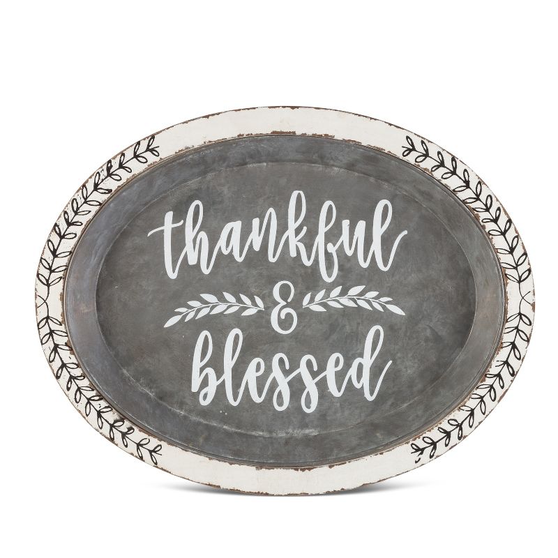 Lone Elm Studios Set of 2 Assorted Galvanized Trays