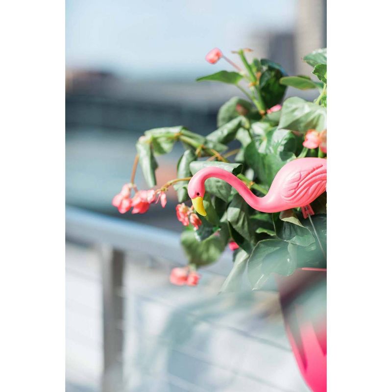 2pk - 11" Mini Mingo - Bloem