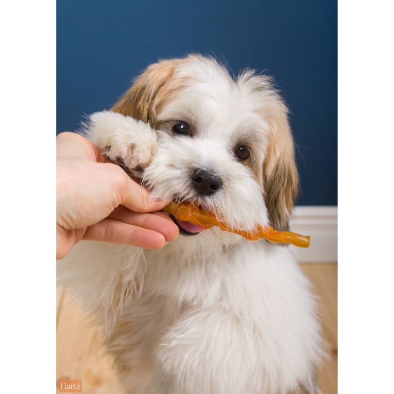 Oinkies Tender Treats Jerky with Chicken Senior Dog Treats - 18pk