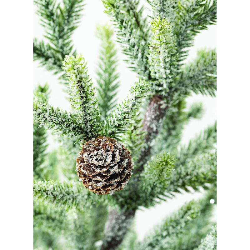 Sullivans 2' Potted Pine Artificial Tree 24"H Green
