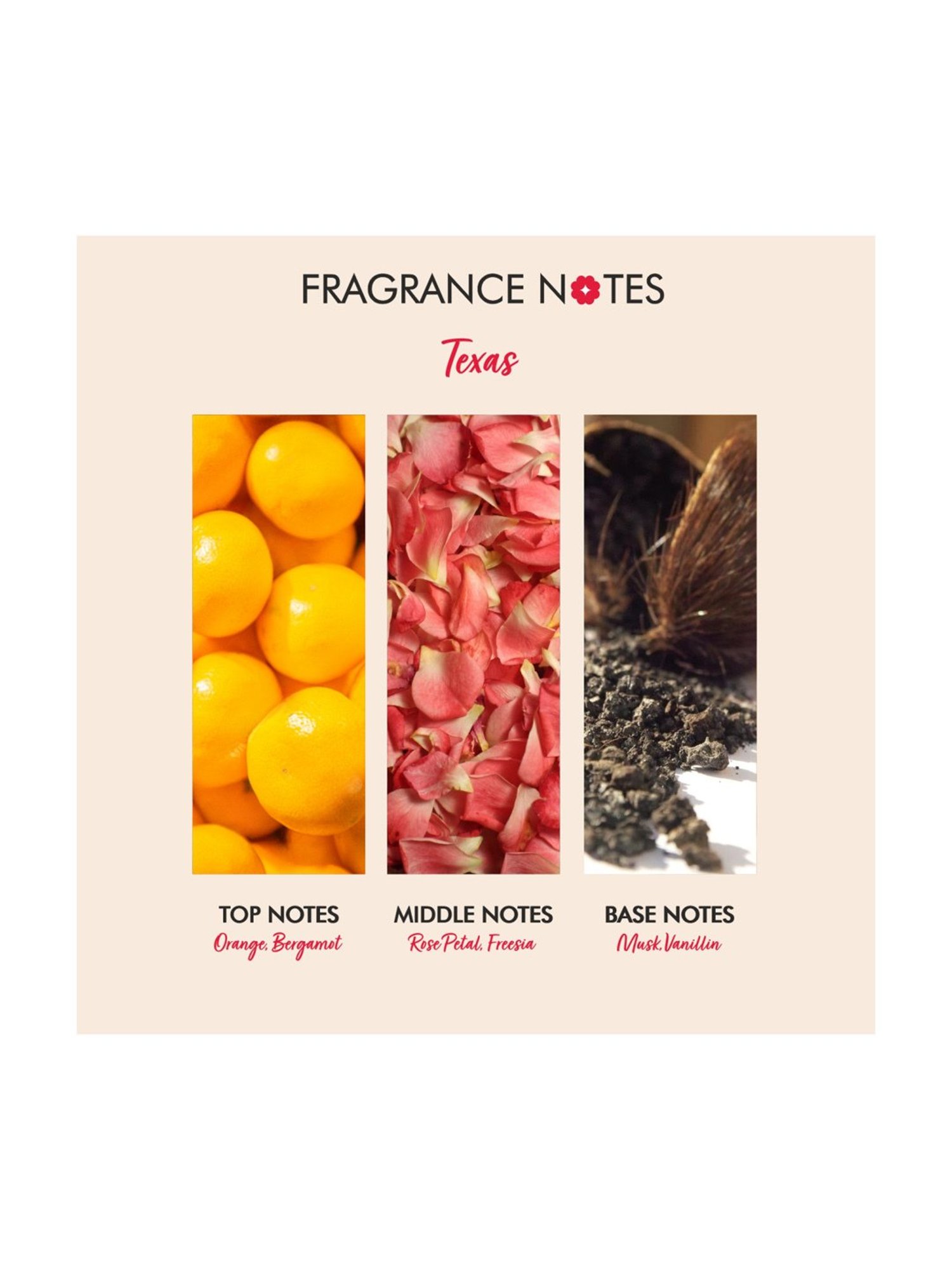 The Love Co. Texas Body Wash - 250 ml