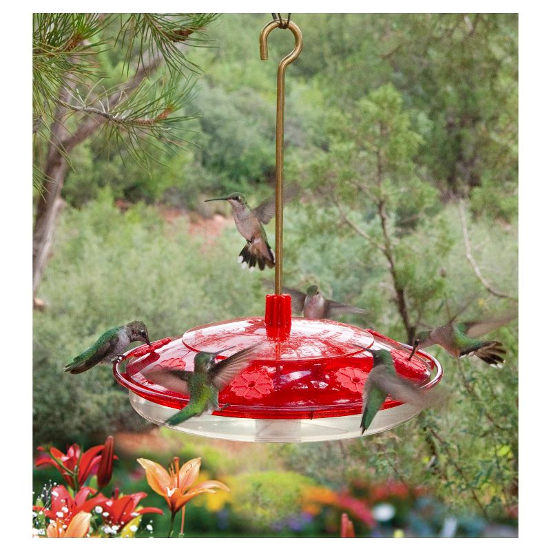 Droll Yankees Happy Eight 2 Hummingbird Feeder - White & Red