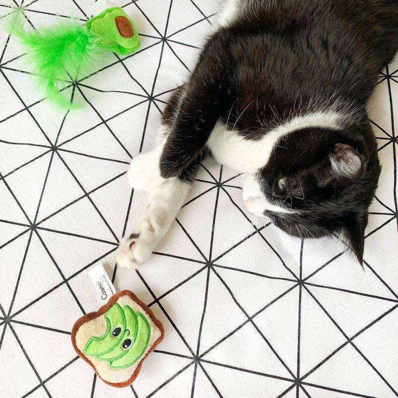 Quirky Kitty Avocado Toast