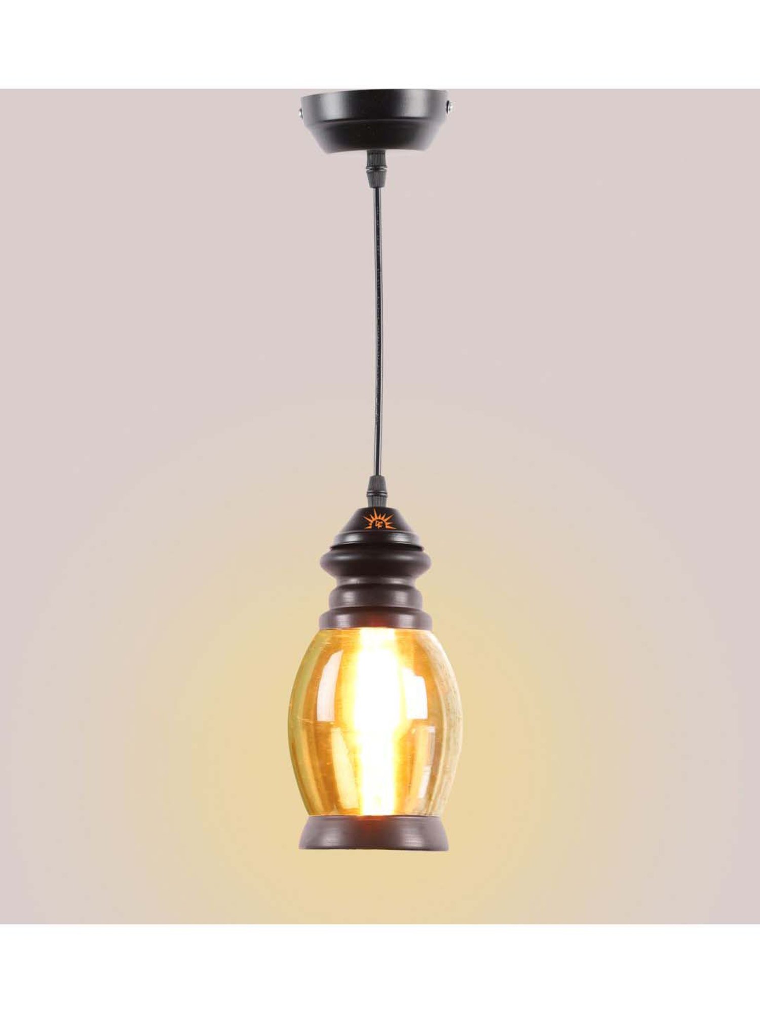 DecorativeRay Transparent Hanging Light - Set of 1