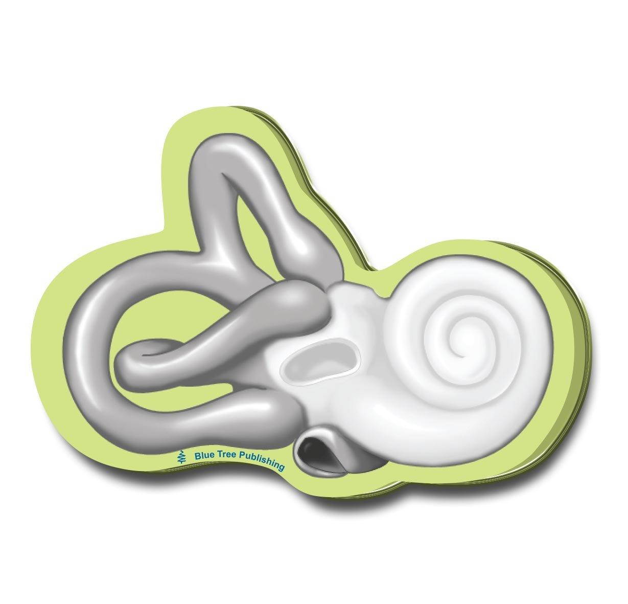 Cochlea Sticky Notes, 4 Packs-100 Sheets Per Pack