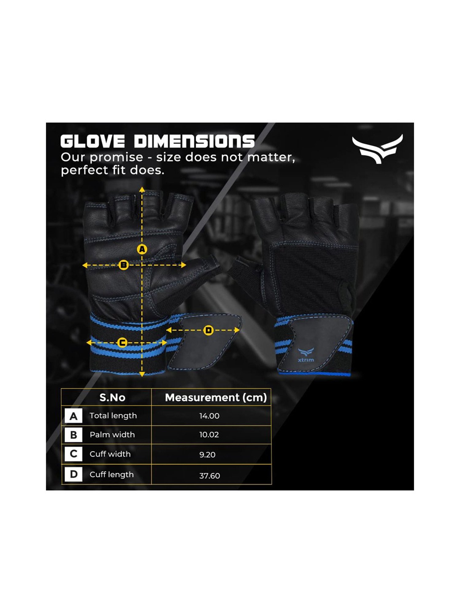 Xtrim X Macho Gym Gloves (Blue) Size - Free Size