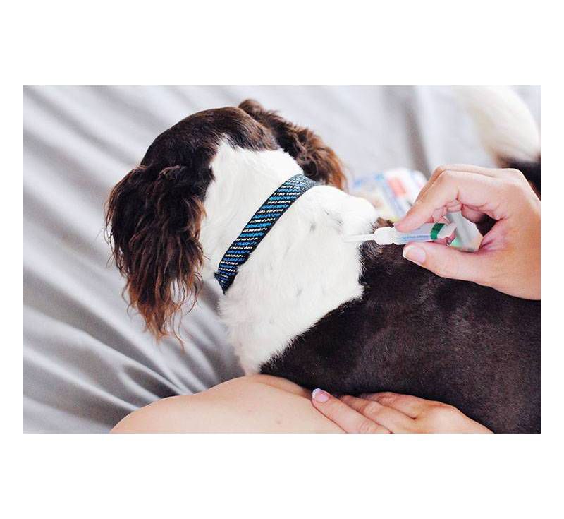 Hartz Dual Action Insect Prevention - M