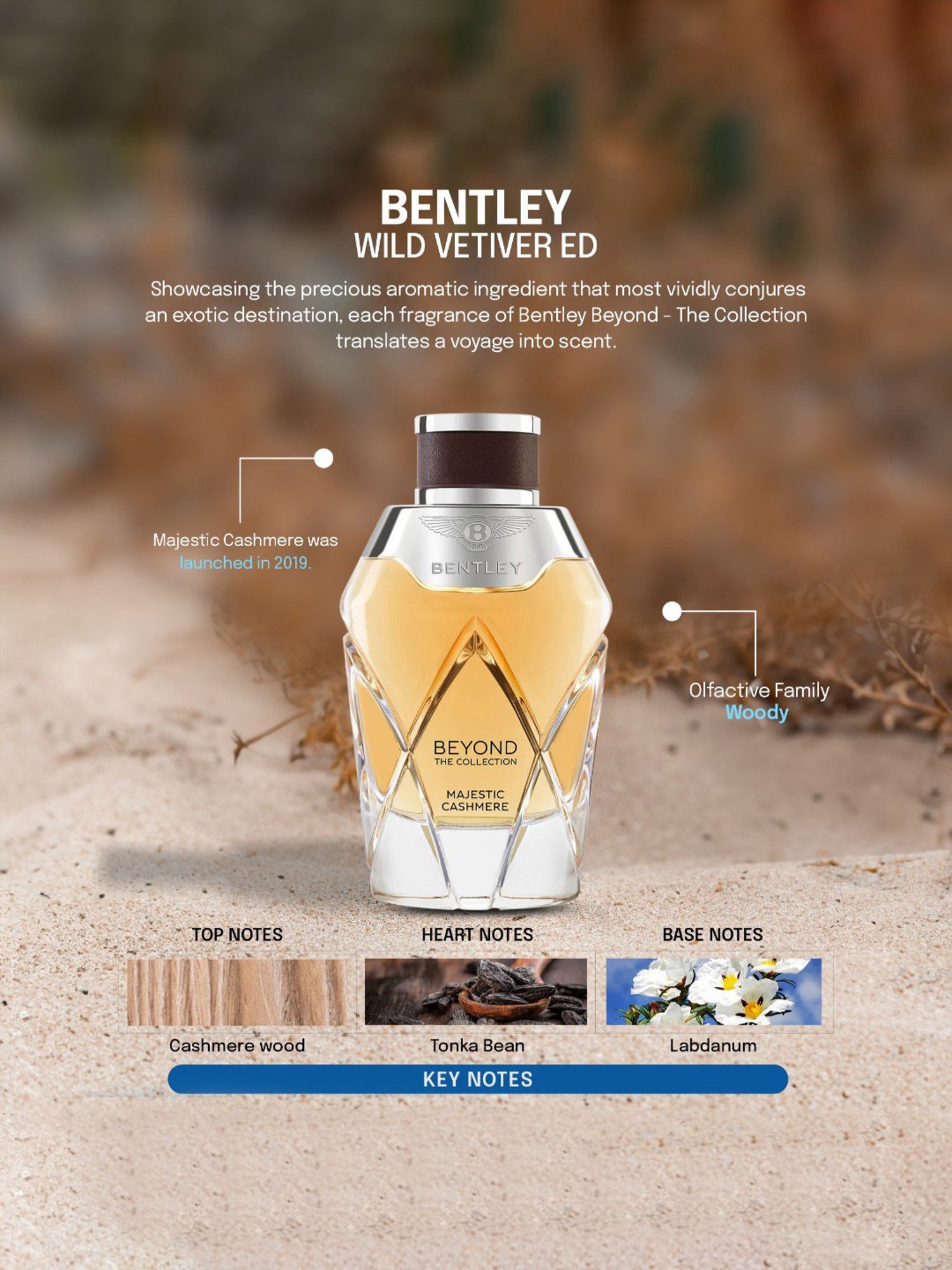 Bentley Beyond The Collection Majestic Cashmere Eau de Parfum - 100 ml