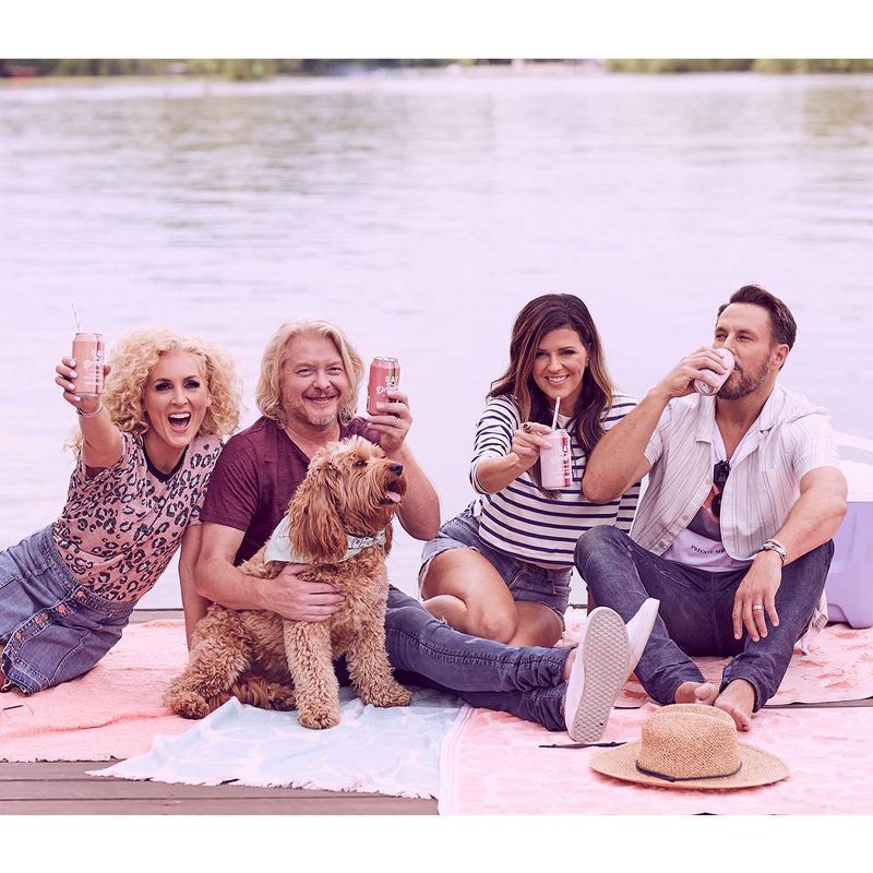 Day Drinking Watermelon Rosé Wine - 375ml Can