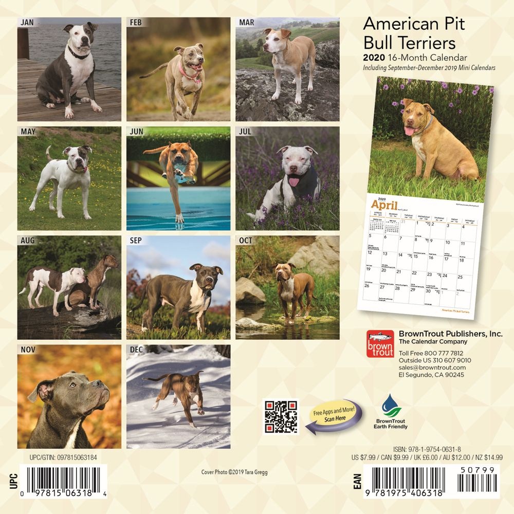 BrownTrout,  American Pit Bull Terriers Mini Wall Calendar 2021