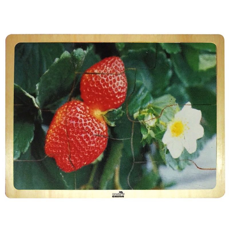 MOJO Fresh Fruits Puzzles - Set of 6 Puzzles - Promote Healthy Living and Healthy Eating