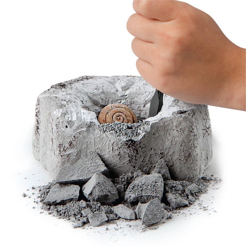 Discovery Kids Toy Excavation Science Kit Mini Fossil 2pc