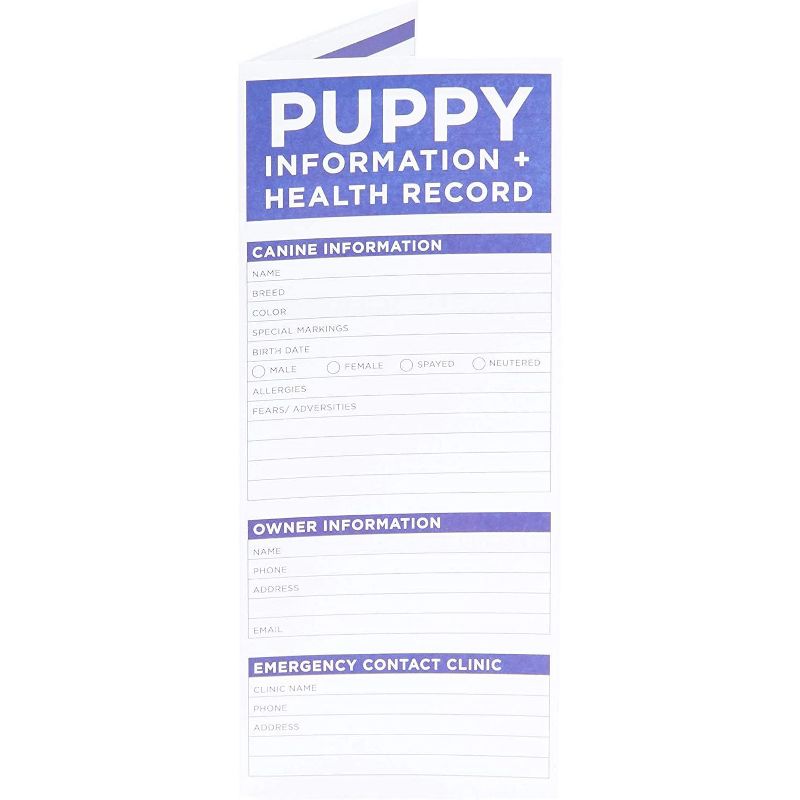 Sustainable Greetings 50 Sheets Black Stationary Paper for Arts Crafts, A4 Letter Size 8.5 x 11 in