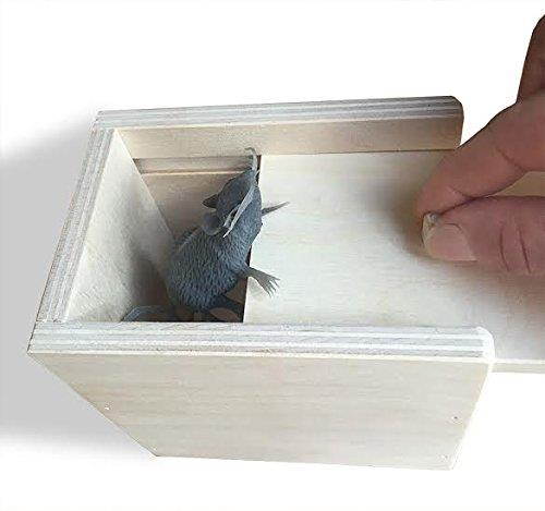 Wooden Surprise Box, Mouse, a Funny Practical Joke Toy