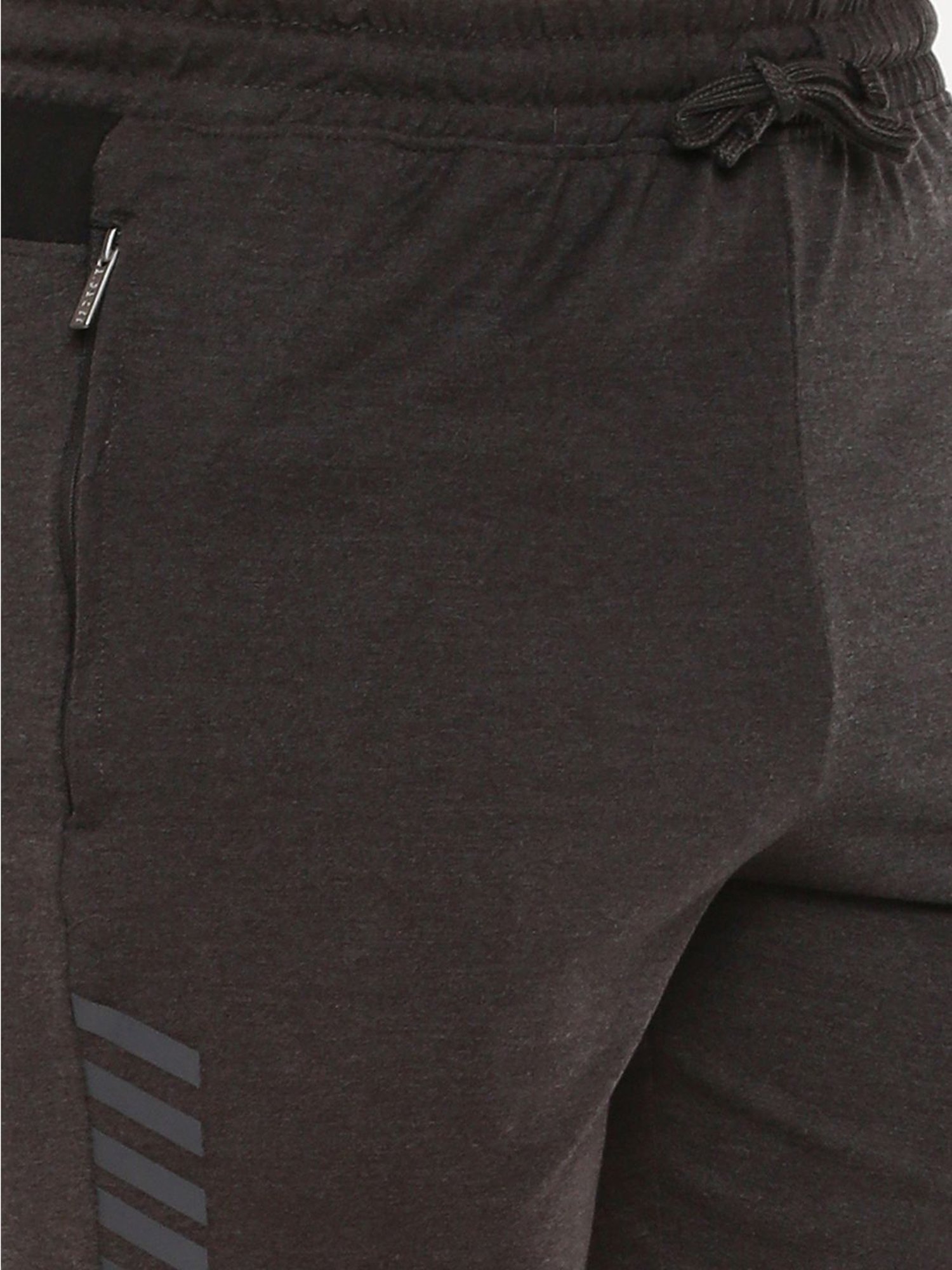 Dollar Grey Cotton Regular Fit Printed Shorts