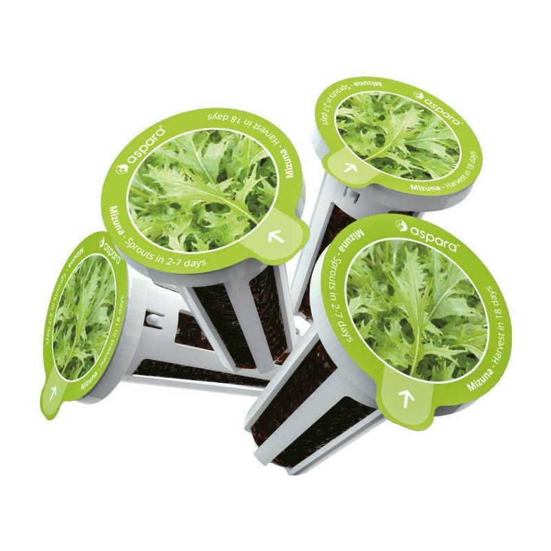 Aspara KLS0001 8 Capsule Seed Kit - Mizuna