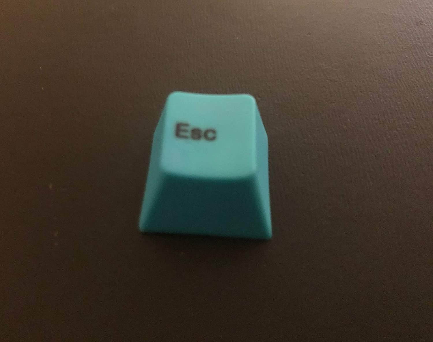 Mugen Custom Light Blue Escape Key Keycaps for Cherry MX Switches - Fits Most Mechanical Gaming Keyboards - with Keycap Puller