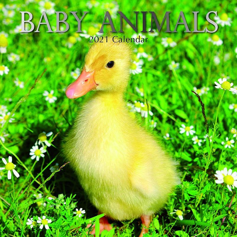 2021 The Everygirl Wall Calendar 15" x 12" Liam - Blue Sky