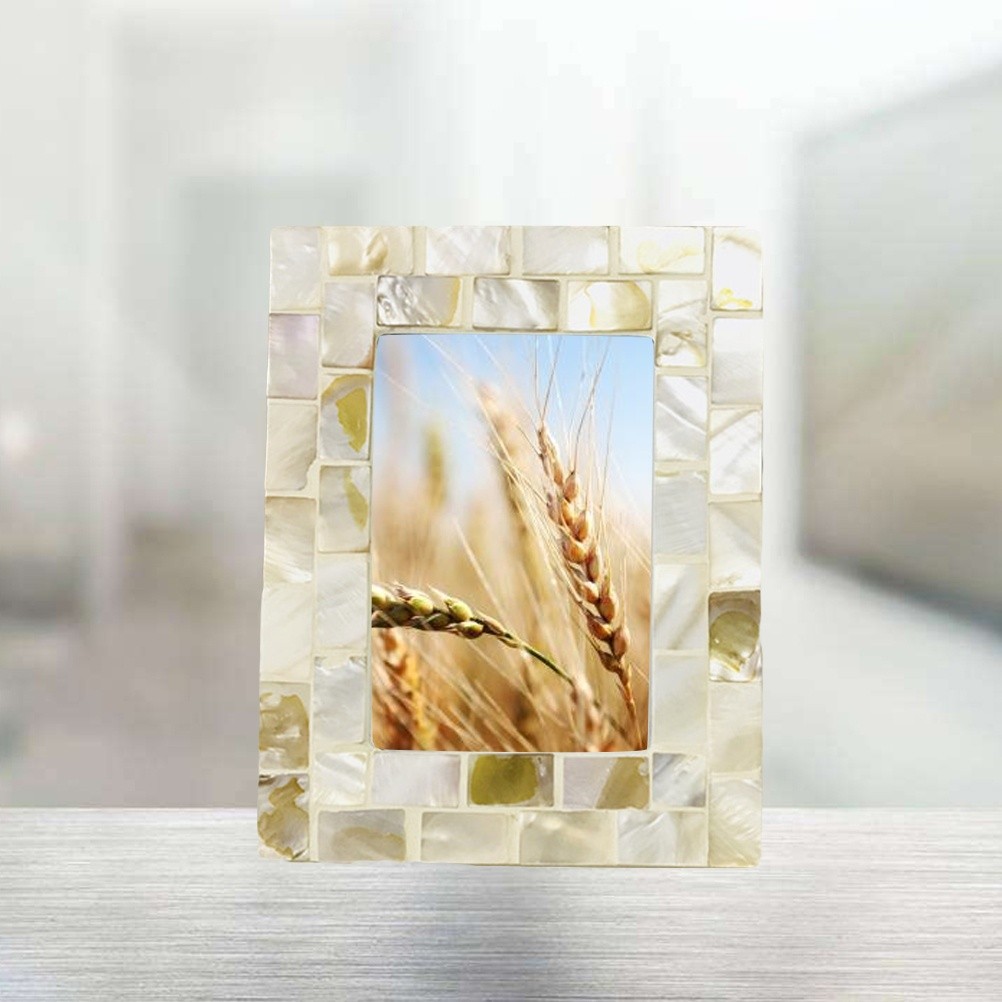 promaster 49mm hgx digital circular polarizing fil